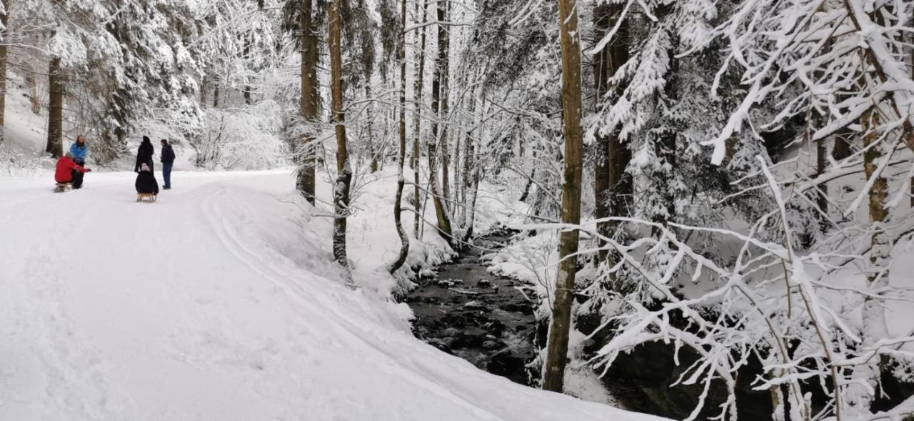Am Kaltenbach - Spital am Semmering, Stuhleck Exterior foto